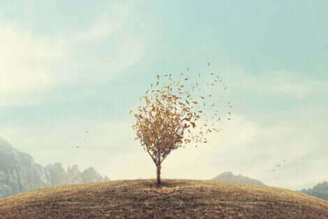 Une illustration qui représente un arbre sur une colline. 