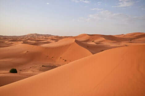 Une illustration d'un désert. 