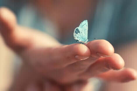 Un papillon sur une main.