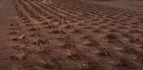 Une parcelle de terre.