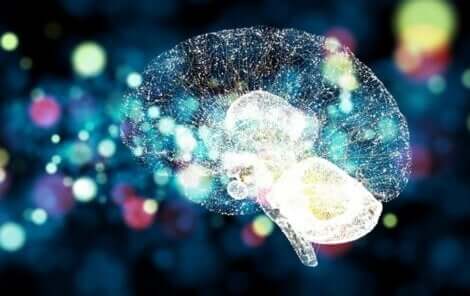 Le rôle des hormones du stress.