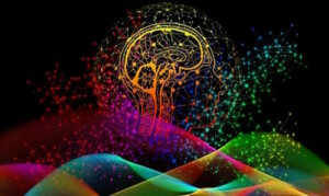 L'importance des empreintes digitales du cerveau