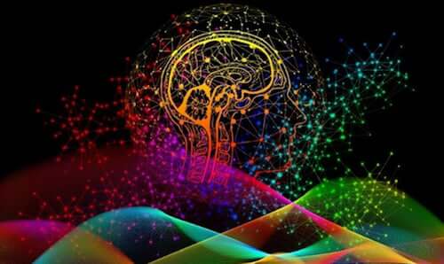 L’importance des empreintes digitales du cerveau