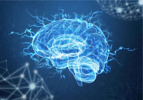 Une illustration d'un cerveau.