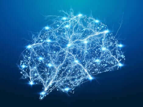 Une illustration du cerveau.