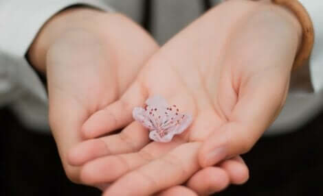 L'importance de la compassion humaine.