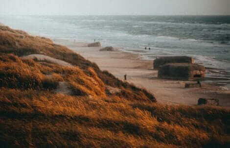 Des bunkers sur une plage.