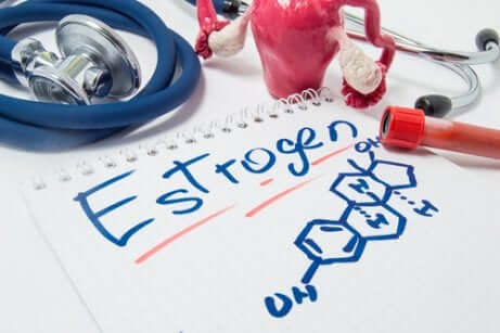Quelles sont les caractéristiques des œstrogènes ?