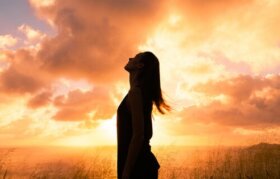 Savoir recevoir : l'art d'apprécier ce que la vie nous offre