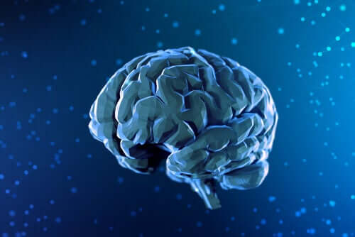 Illustration d'un cerveau.
