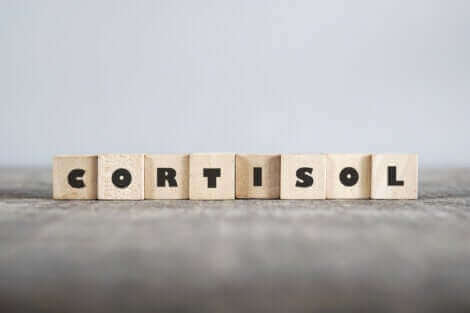 Le cortisol, l'hormone du stress.
