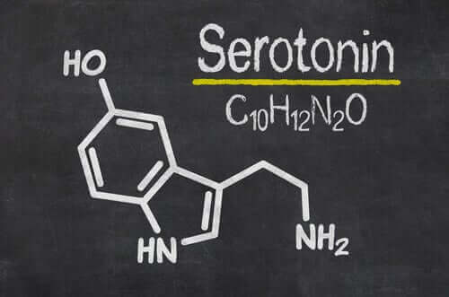La sérotonine est impliquée dans la neurobiologie de l'anxiété.