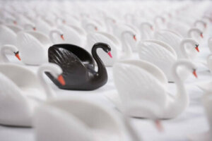 La théorie du cygne noir de Nassim Taleb