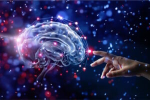 12 habitudes qui prennent soin du cerveau et réduisent le risque de démence