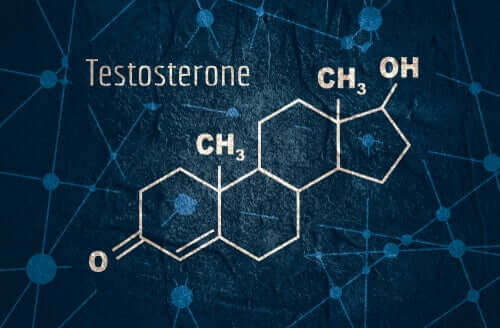 Testostérone : caractéristiques et fonctions