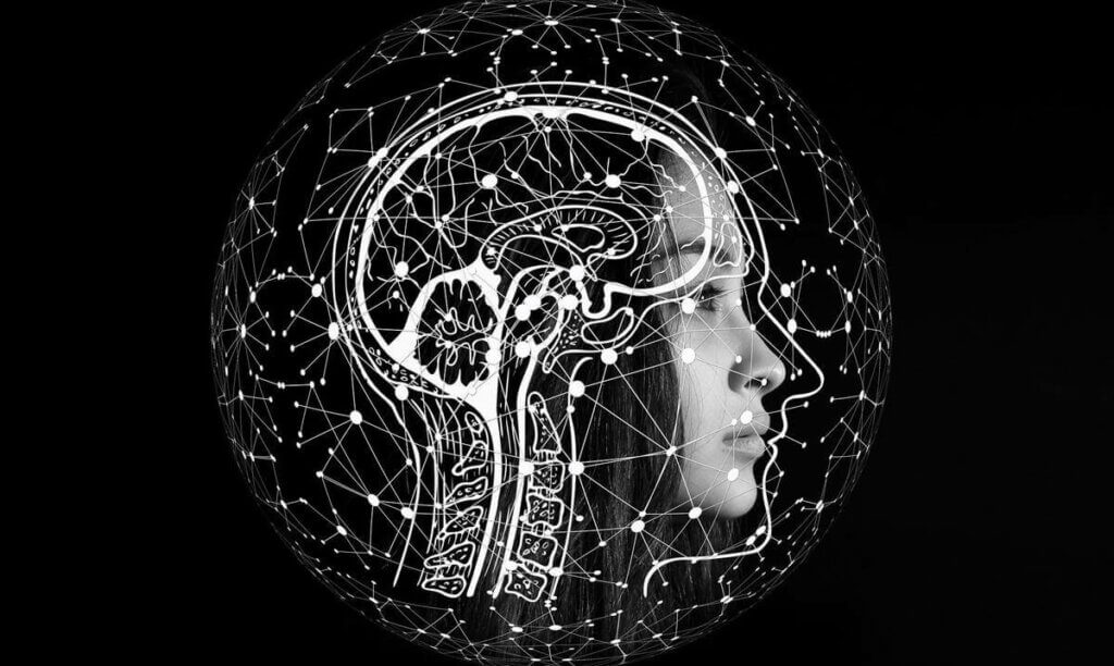 Illustration d'un cerveau. 