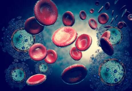 La motivation du bugchasing.