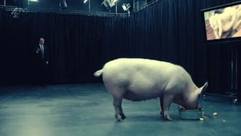 Curiosité morbide dans Black Mirror.