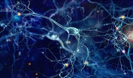 Réseau neuronal.