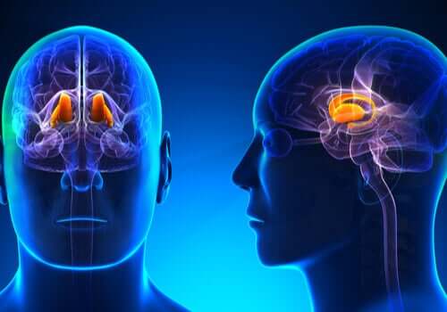 Syndrome thalamique : symptômes et traitements