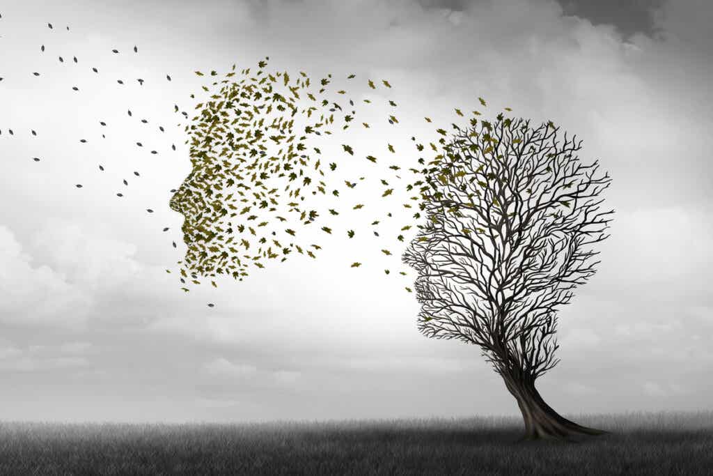 Arbre en forme de tête.