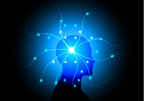 Les théories du scientifique hindou Vilayanur Ramachandran