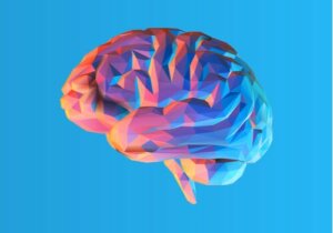 Le cerveau bilingue