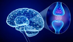 Qu'est-ce que la psychoneuroimmunologie ?