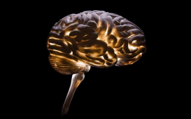Neurocriminologie : une discipline de plus en plus nécessaire
