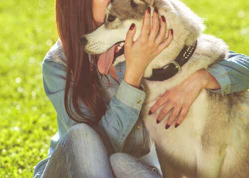 Mon chien ma famille.