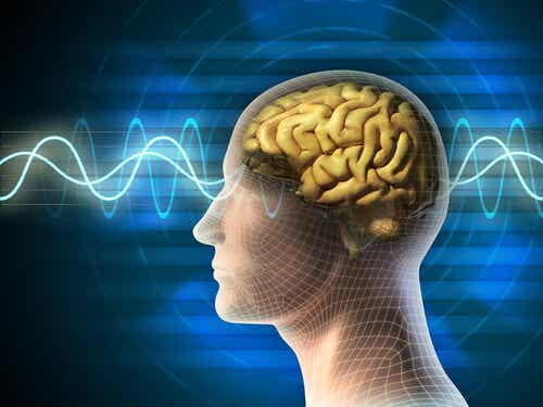 Les conversations et le cerveau.
