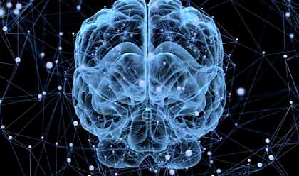 Illustration d'un cerveau.