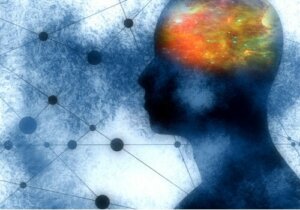 3 fonctions marquantes des neurones miroirs