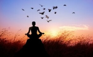 Les émotions destructrices selon Daniel Goleman