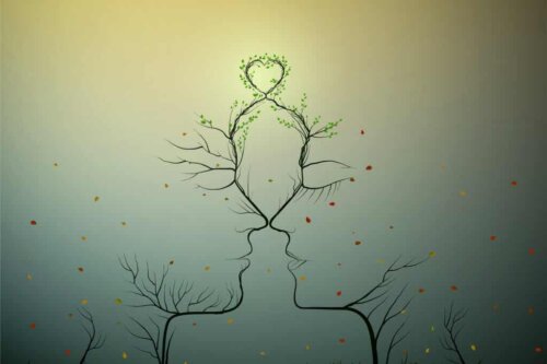 Des plantes en forme de couple.