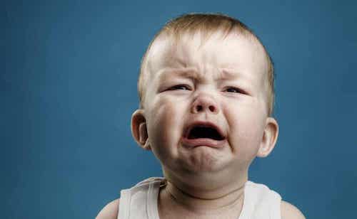 Eliminer les peurs apprises.