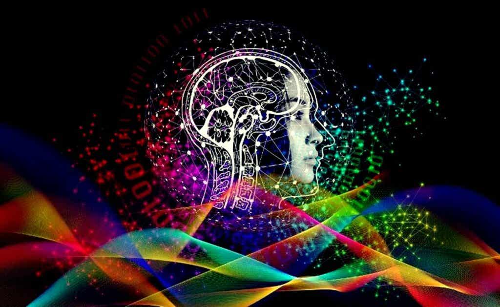 Cerveau illuminé.