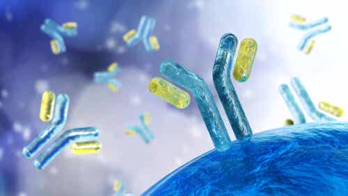Immunoglobuline.