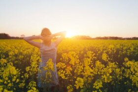 Développez votre agilité émotionnelle pour vivre mieux