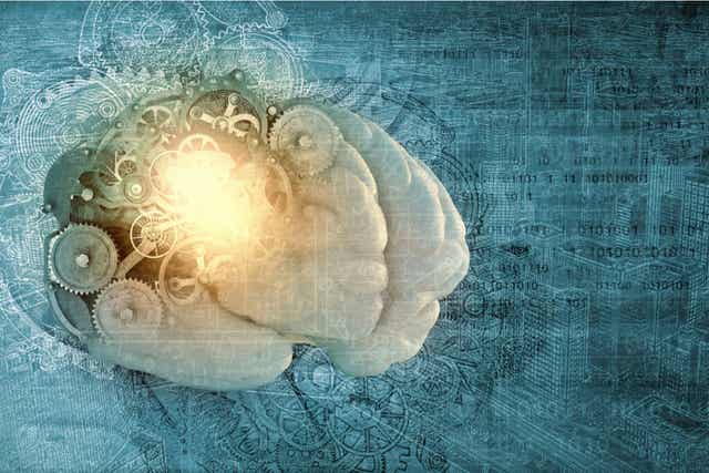 Les mécanismes du cerveau.