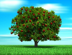 La parabole de l'arbre, une histoire sur l'amour d'un père