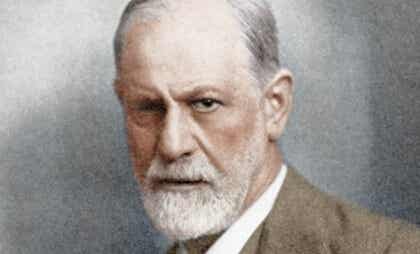 Portrait de Sigmund Freud. 