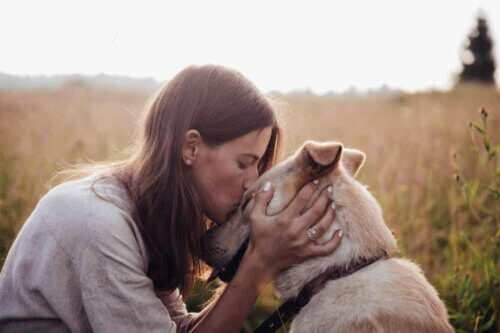 Amour d'un chien.