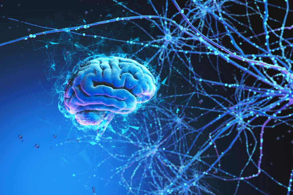 Réseau de neurones. 