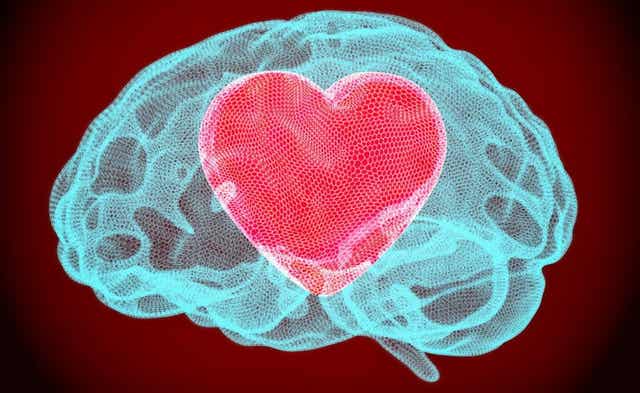 Un cœur dans un cerveau.