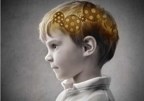 Mécanisme cérébral d'un enfant.