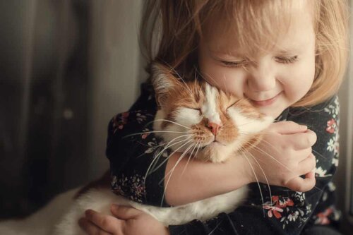 Une fillette et son chat.