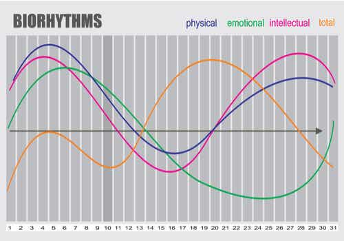 Les effets de rythmes circadiens.