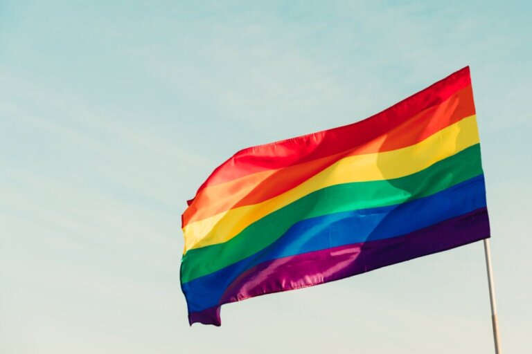 Mouvement LGBTIQ+ : en quoi consiste-t-il et quelle est son histoire ?