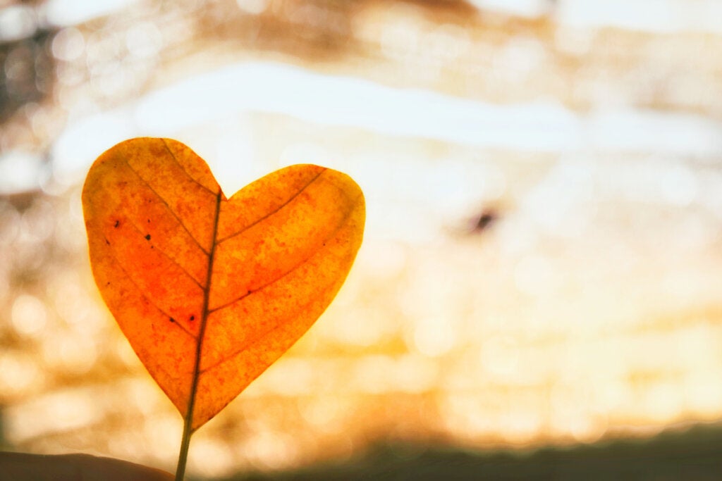 Recourir à l'amour inconditionnel pour surmonter une rupture